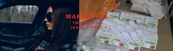 ПСИЛОЦИБИНОВЫЕ ГРИБЫ Богданович