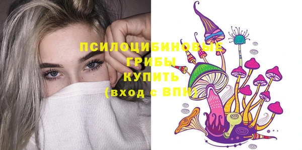 таблы Богородск