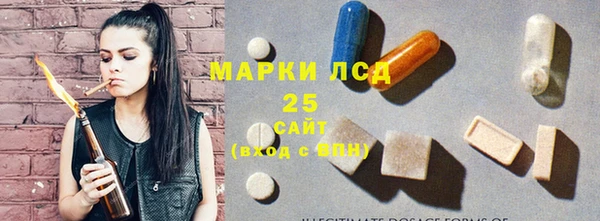 ПСИЛОЦИБИНОВЫЕ ГРИБЫ Богданович