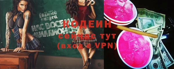 ПСИЛОЦИБИНОВЫЕ ГРИБЫ Богданович