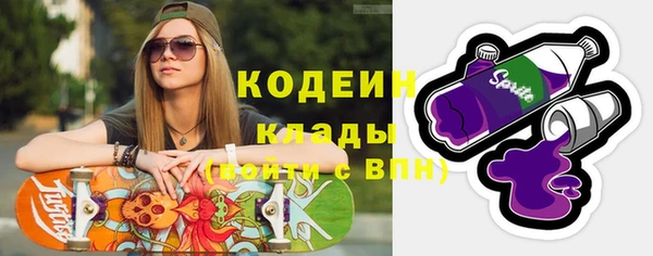 ПСИЛОЦИБИНОВЫЕ ГРИБЫ Богданович