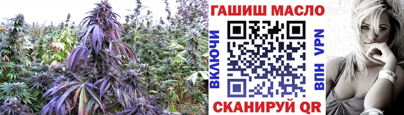 mega ссылка  Мирный  Дистиллят ТГК вейп  что такое наркотик 
