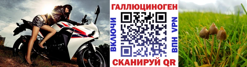Галлюциногенные грибы Cubensis  Мирный 